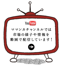 ラジオで紹介されました！