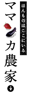 ママンカ農家
