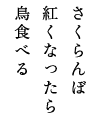 さくらんぼ紅くなったら鳥食べる